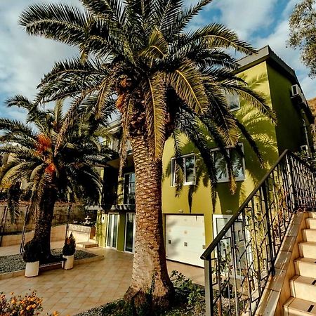 Olive Garden Apartment Petrovac Bagian luar foto