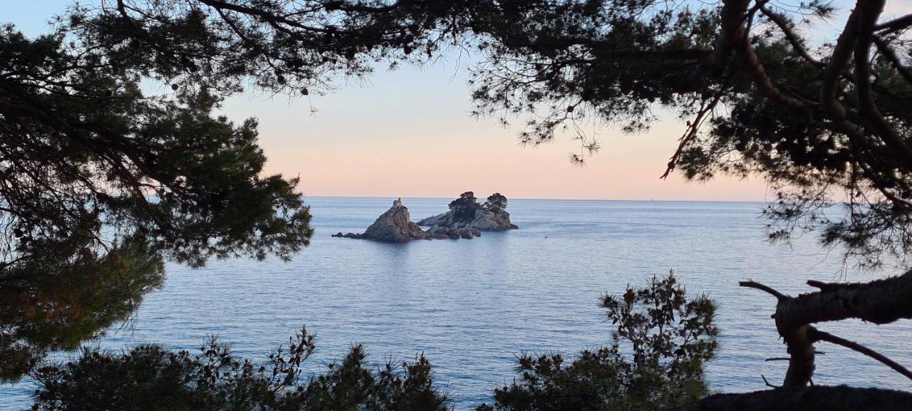 Olive Garden Apartment Petrovac Bagian luar foto
