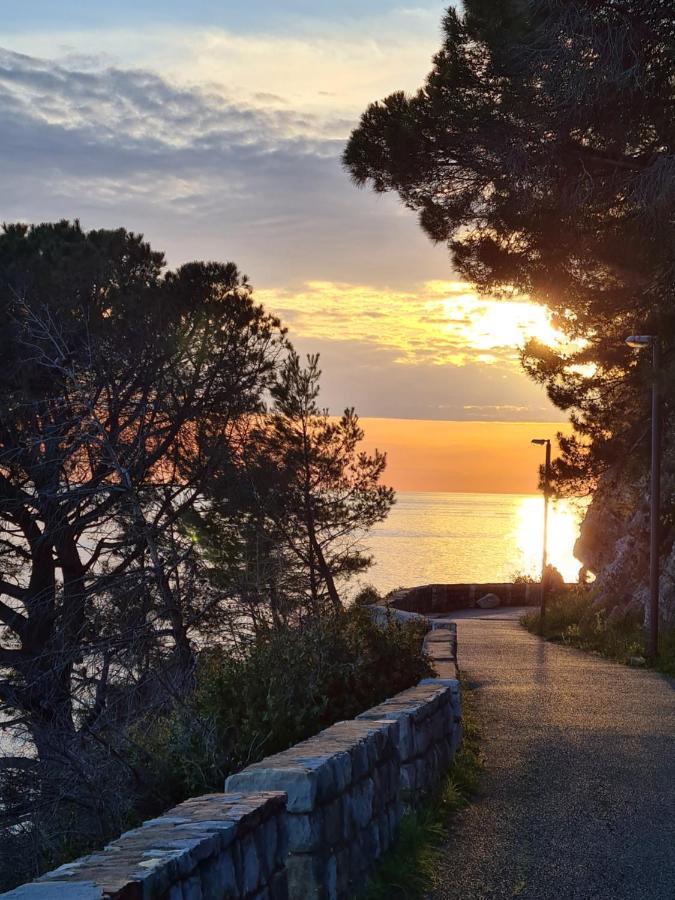 Olive Garden Apartment Petrovac Bagian luar foto