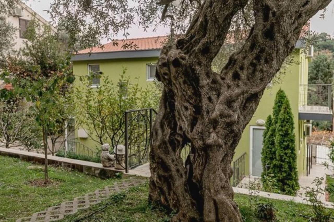 Olive Garden Apartment Petrovac Bagian luar foto